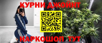 тгк Новозыбков