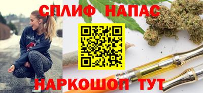 тгк Новозыбков