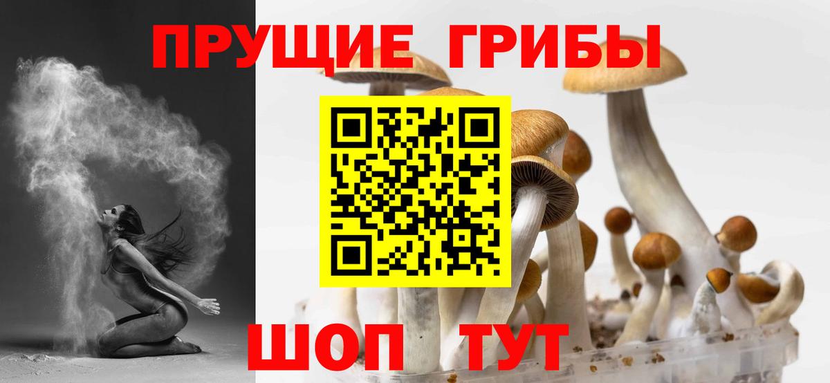Псилоцибиновые грибы мицелий Славянск-на-Кубани